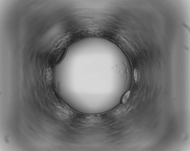 X0000096431107200802071719