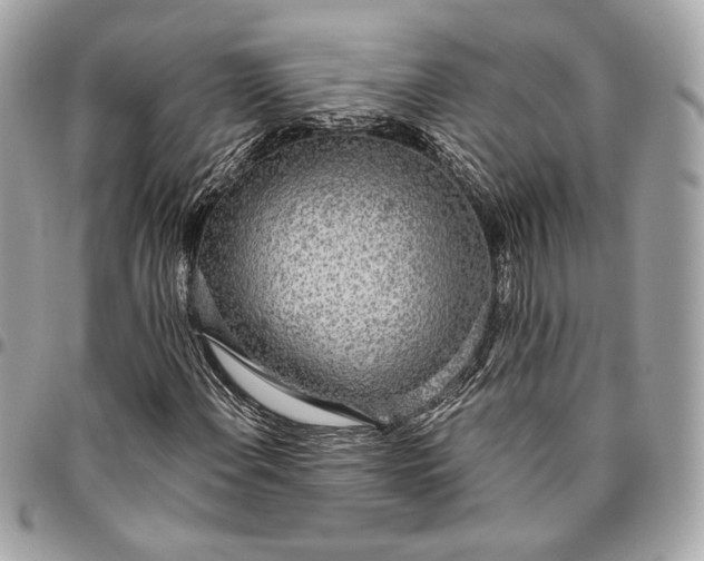 X0000096431108200802071719