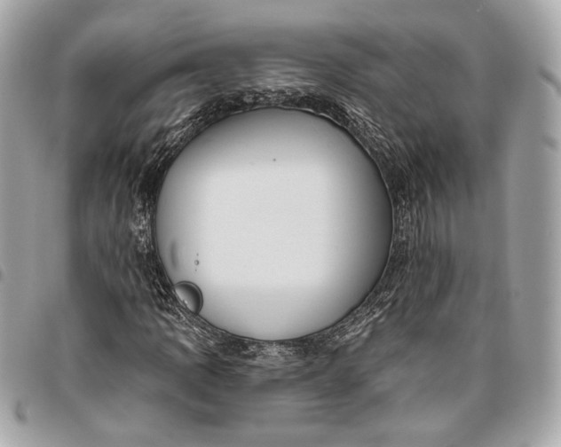X0000096431109200802071719