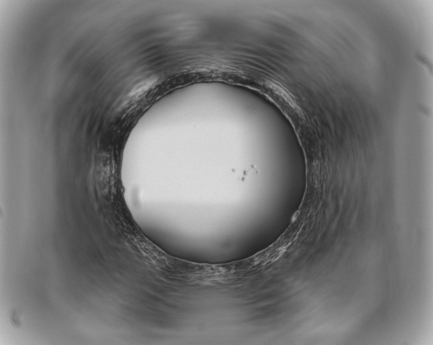 X0000096431111200802071719