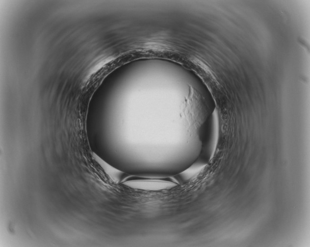 X0000096431112200802071719
