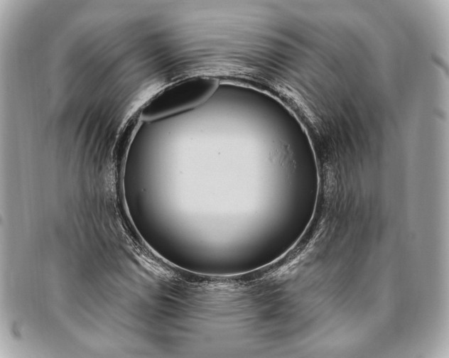 X0000096431114200802071719