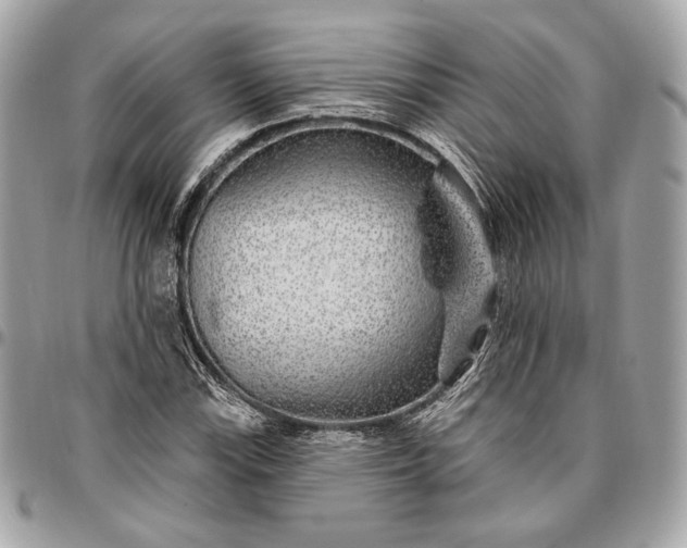 X0000096431115200802071719