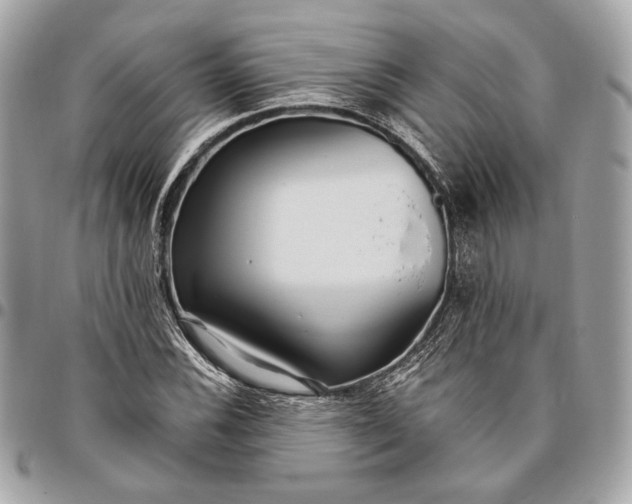 X0000096431116200802071719