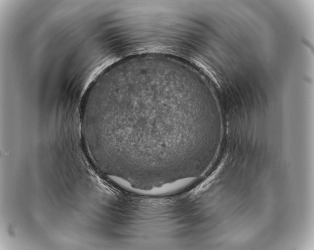 X0000096431117200802071719