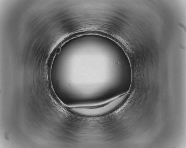 X0000096431118200802071719