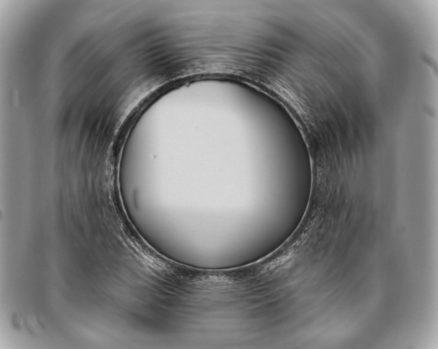 X0000096431119200802071719