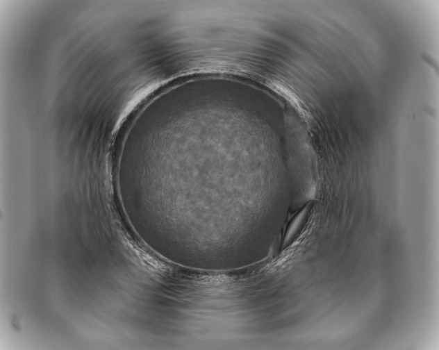 X0000096431120200802071719