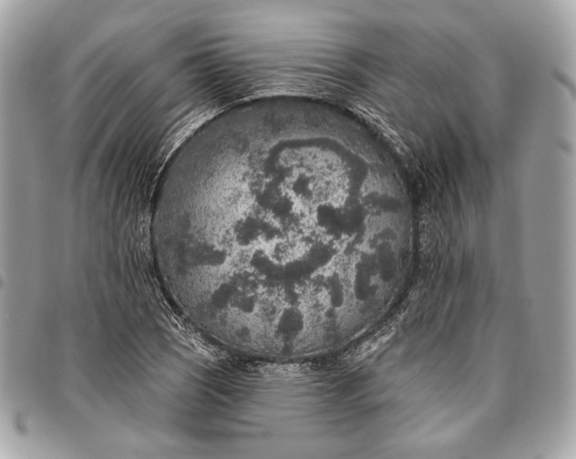 X0000096431121200802071719