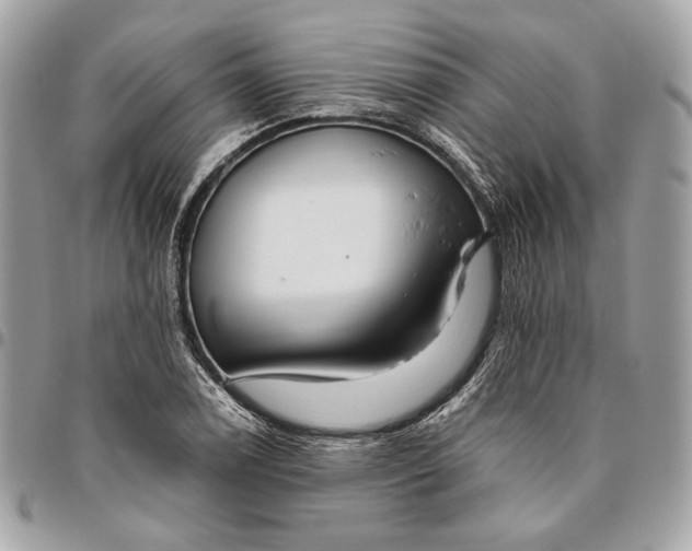 X0000096431122200802071719