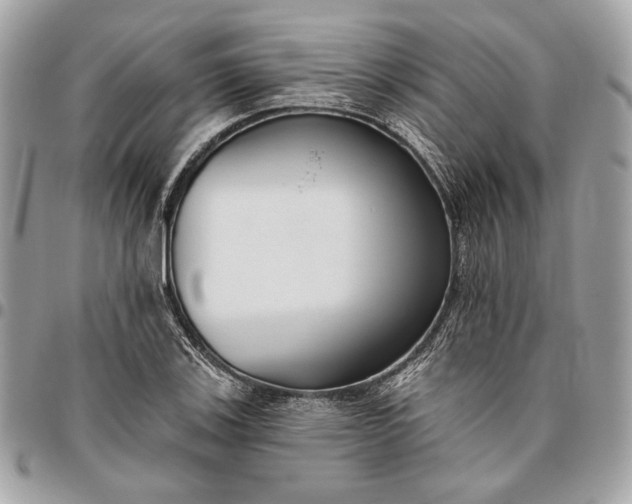 X0000096431123200802071719