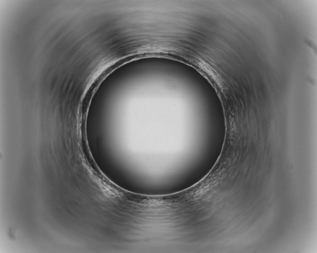 X0000096431124200802071719