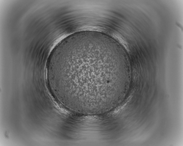 X0000096431125200802071719