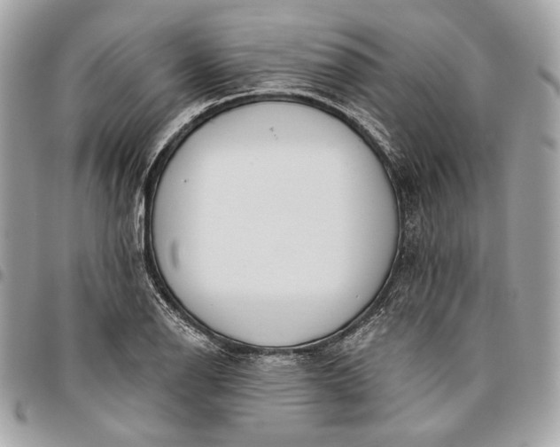 X0000096431126200802071719