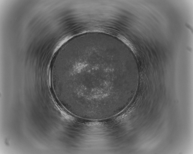 X0000096431127200802071719