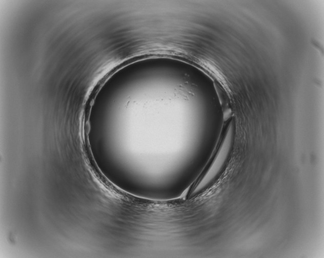 X0000096431128200802071719