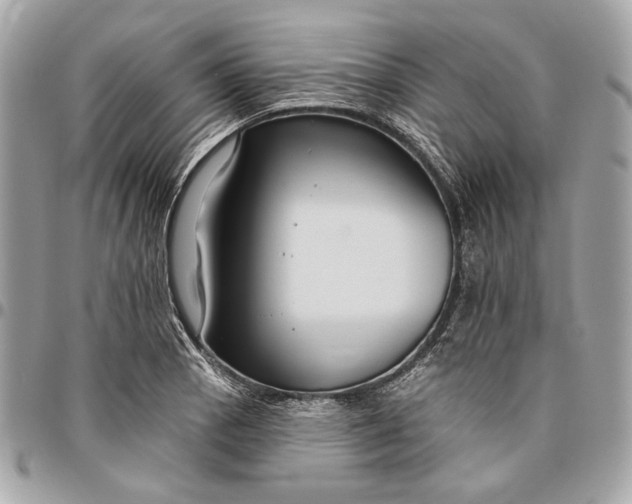 X0000096431129200802071719