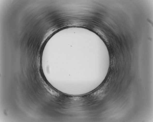 X0000096431130200802071719