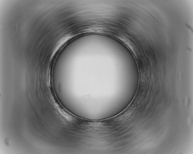X0000096431131200802071719