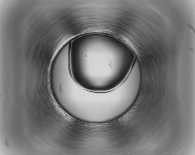 X0000096431132200802071719