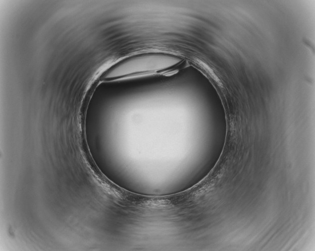 X0000096431133200802071719