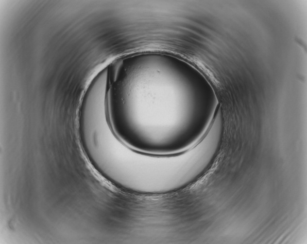 X0000096431134200802071719