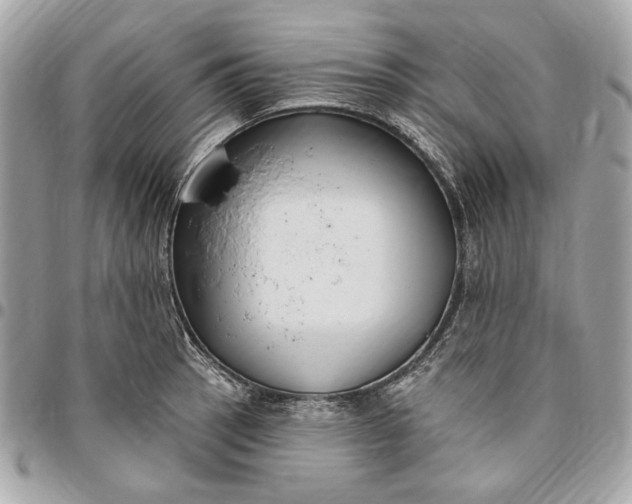 X0000096431137200802071720