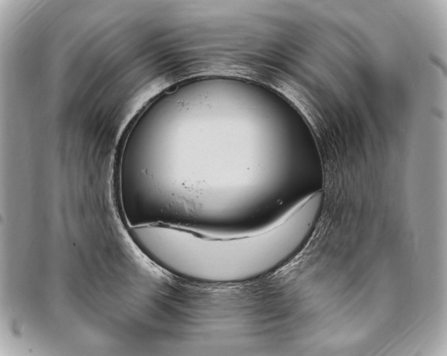 X0000096431139200802071720