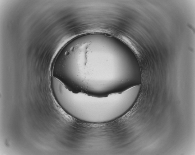 X0000096431140200802071720