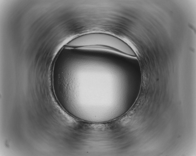 X0000096431142200802071720