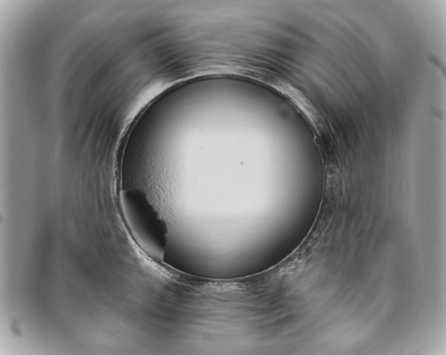 X0000096431143200802071720