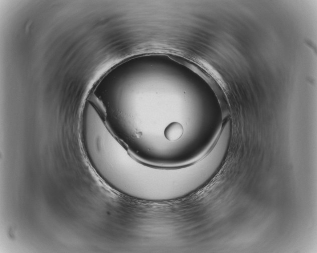 X0000096431144200802071720