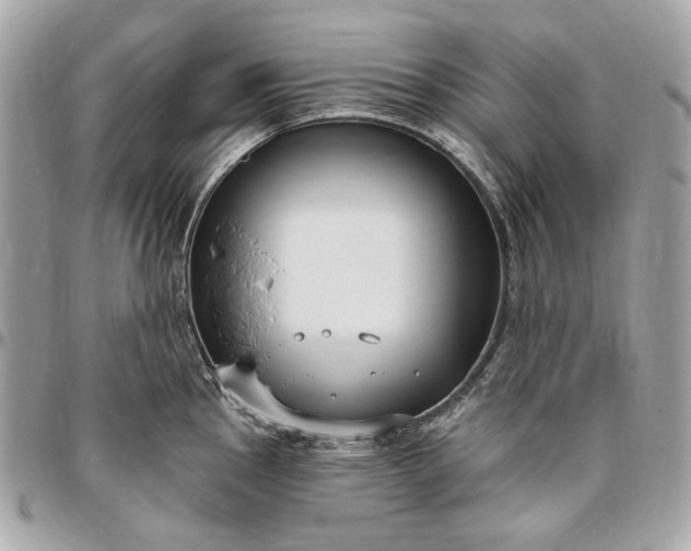X0000096431145200802071720
