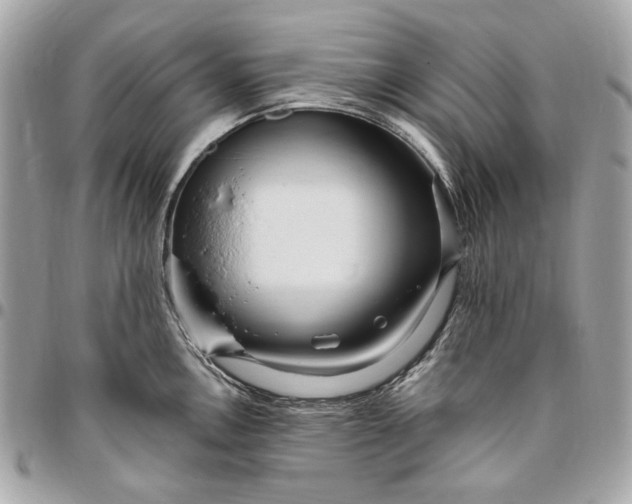 X0000096431146200802071720