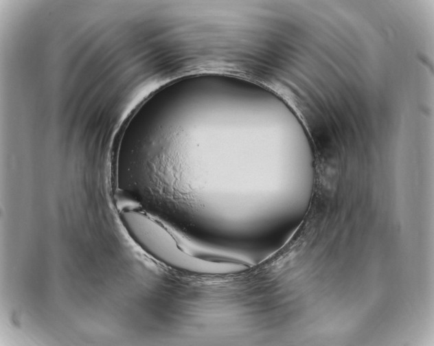 X0000096431147200802071720