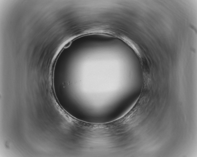 X0000096431148200802071720