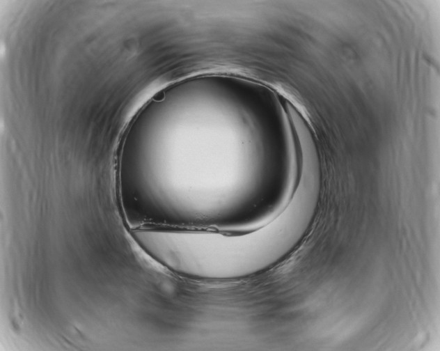 X0000096431151200802071720