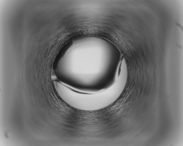 X0000096431153200802071719