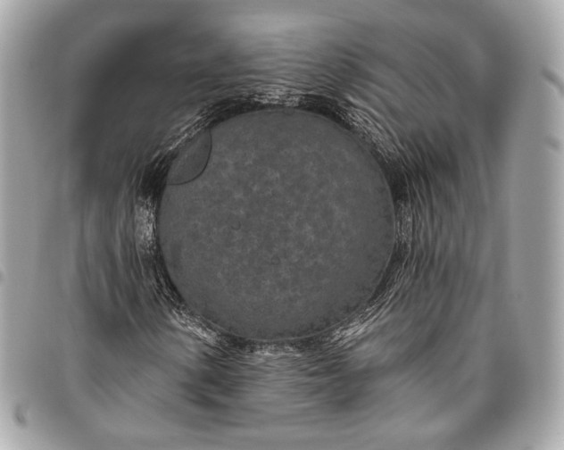 X0000096431154200802071719
