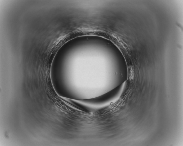 X0000096431157200802071719