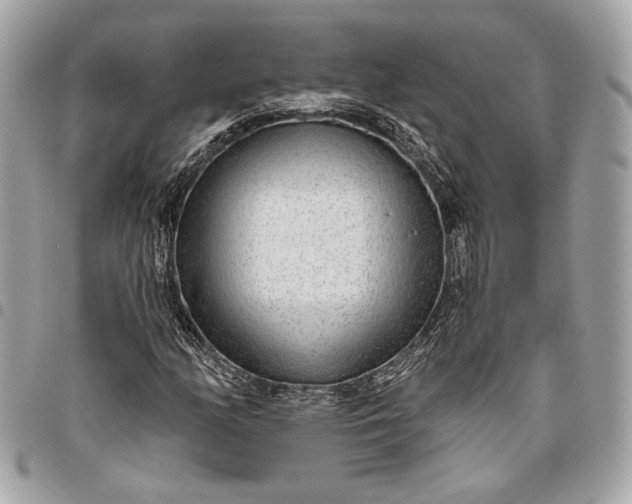 X0000096431158200802071719