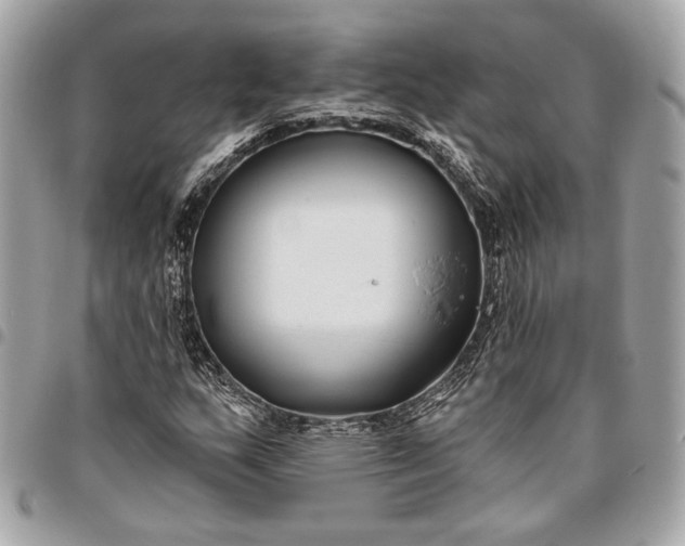 X0000096431159200802071719