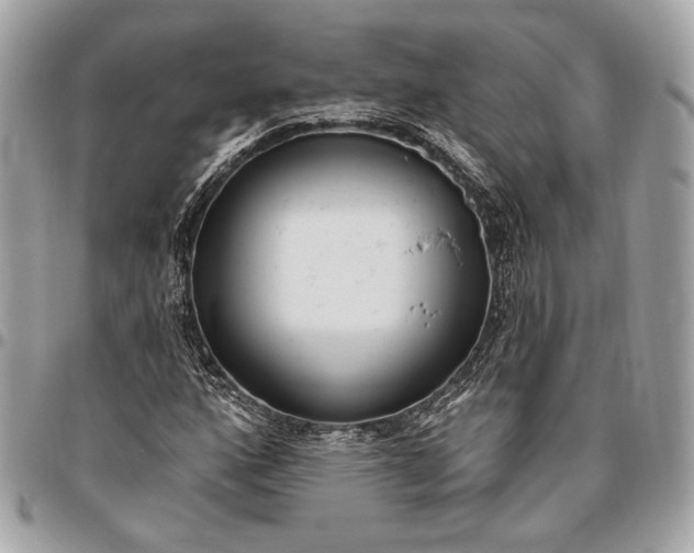 X0000096431160200802071719
