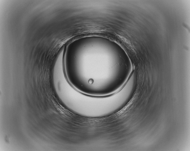 X0000096431161200802071719