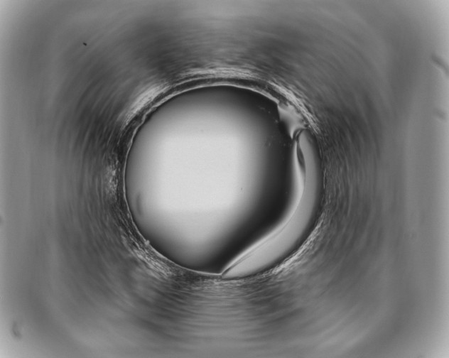 X0000096431163200802071719