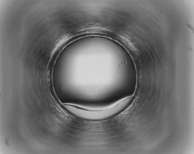 X0000096431164200802071719