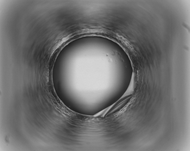 X0000096431165200802071719