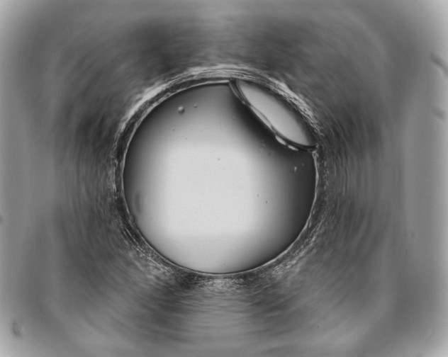 X0000096431166200802071719