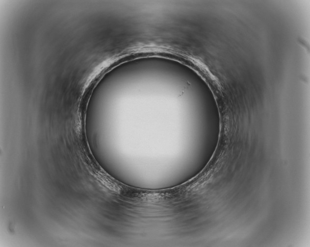 X0000096431167200802071719
