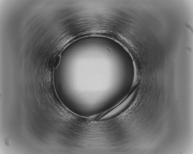 X0000096431169200802071719